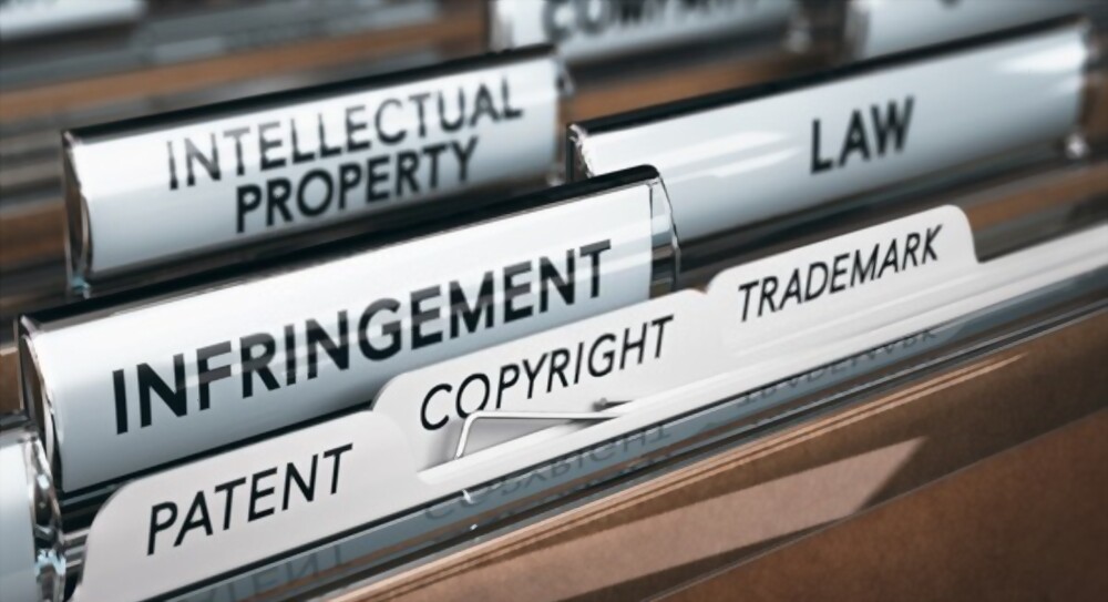 How to Use Controls in Intellectual Property Surveys file image