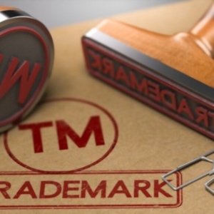 Asking the Right Questions: Optimizing Trademark Litigation Survey Design Trademark Image
