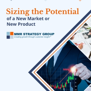 Sizing the Potential of a New Market or New Product white paper cover
