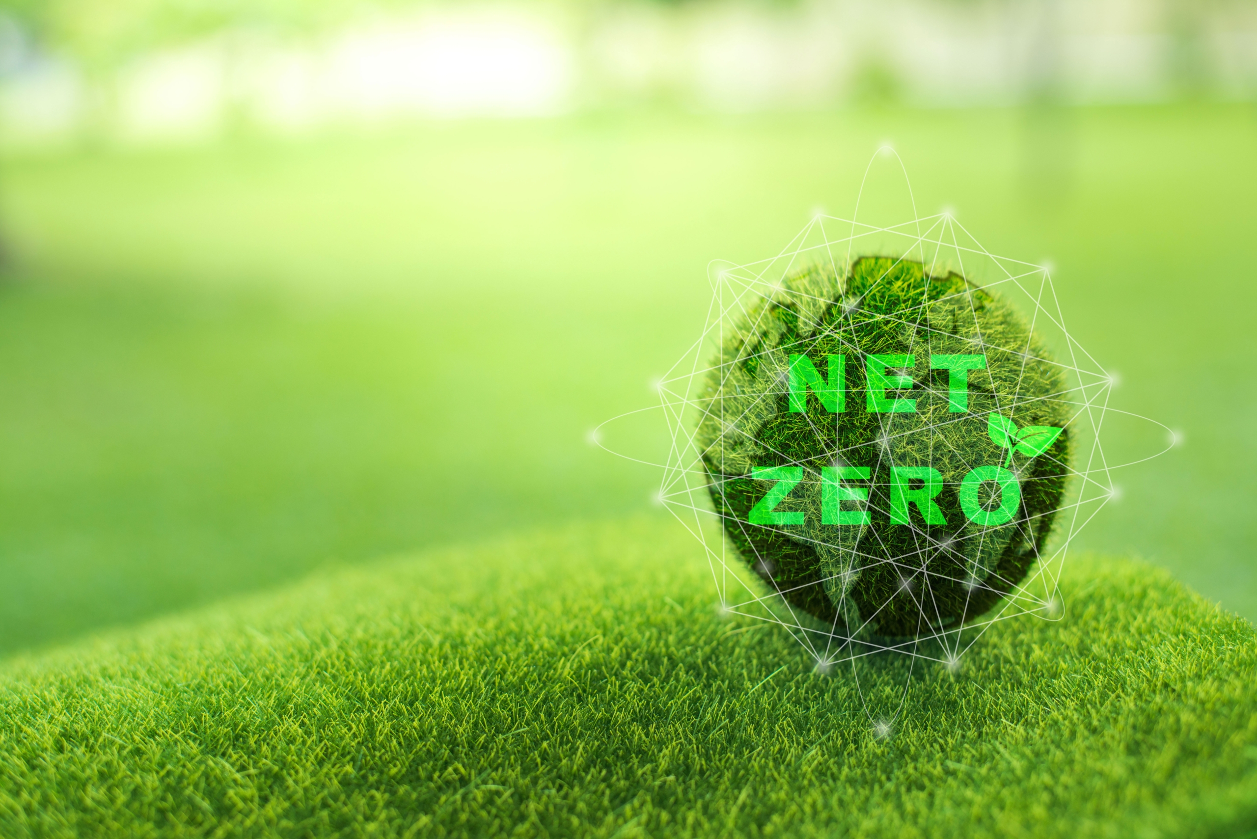 Stain on Green Claims: NAD Finds “Net Zero” Claims Unsupported