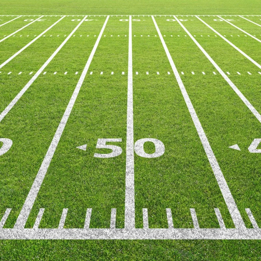 Big Competition: NAD and NARB Disagree in Plays of the Day Ad  