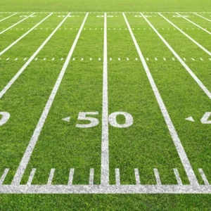 Big Competition: NAD and NARB Disagree in Plays of the Day Ad  