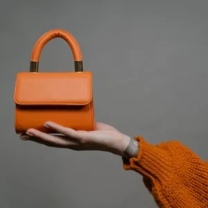 Coach and Quince: Classic Bags Classic Trademark Infringement Dispute