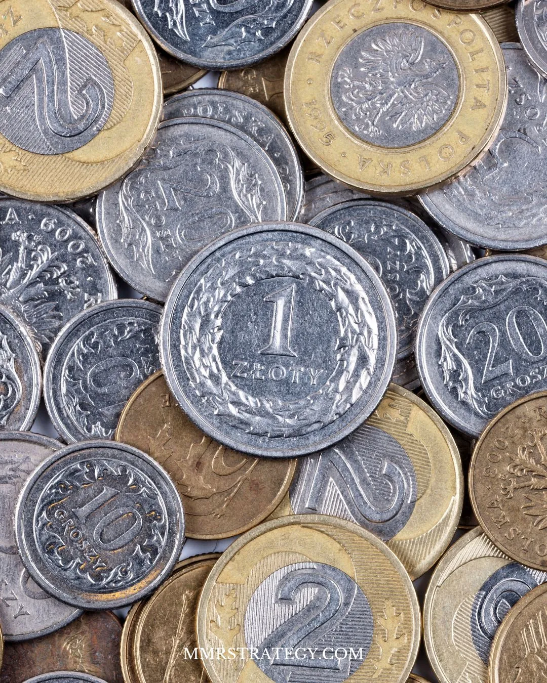 To Opt In or to Opt Out: Negative Option Marketing Guidance Minted by Consumer Surveys