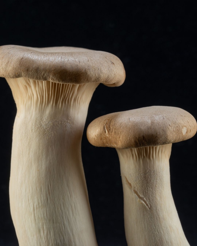 Functional Foods Face Pharma-Level Scrutiny: Mushrooms and Matcha